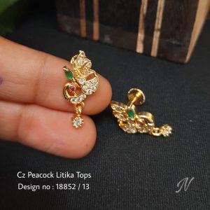 Earring Set178