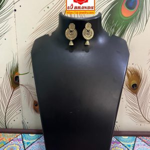 Earring-N234