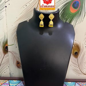 Earring-N245