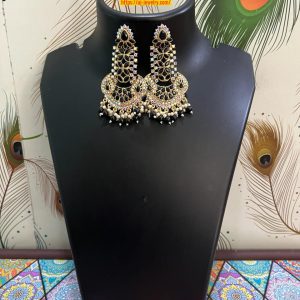 Earring-N336
