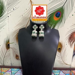 Earring-N094